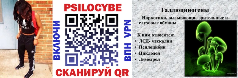 Галлюциногенные грибы Cubensis darknet формула Верея наркошоп